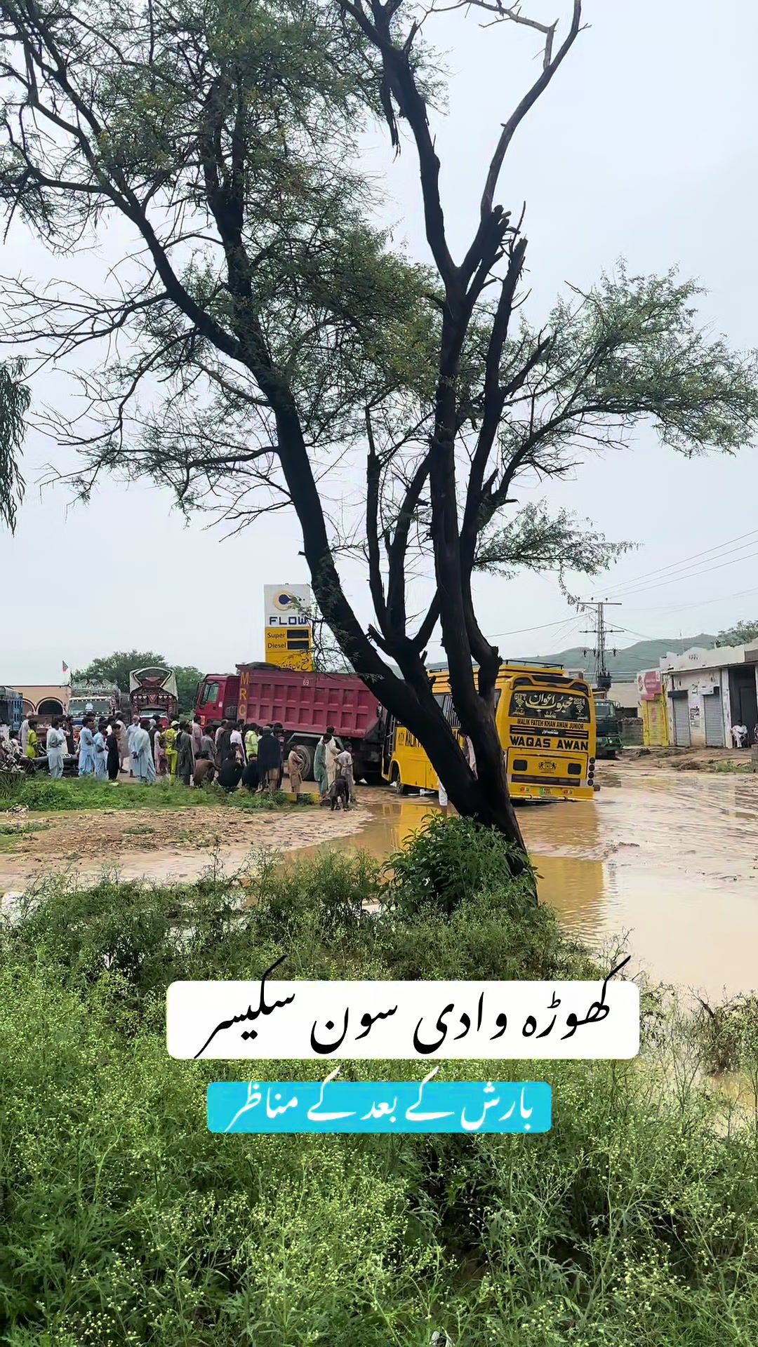 @Muhammad Ikram (محمد اکرام)