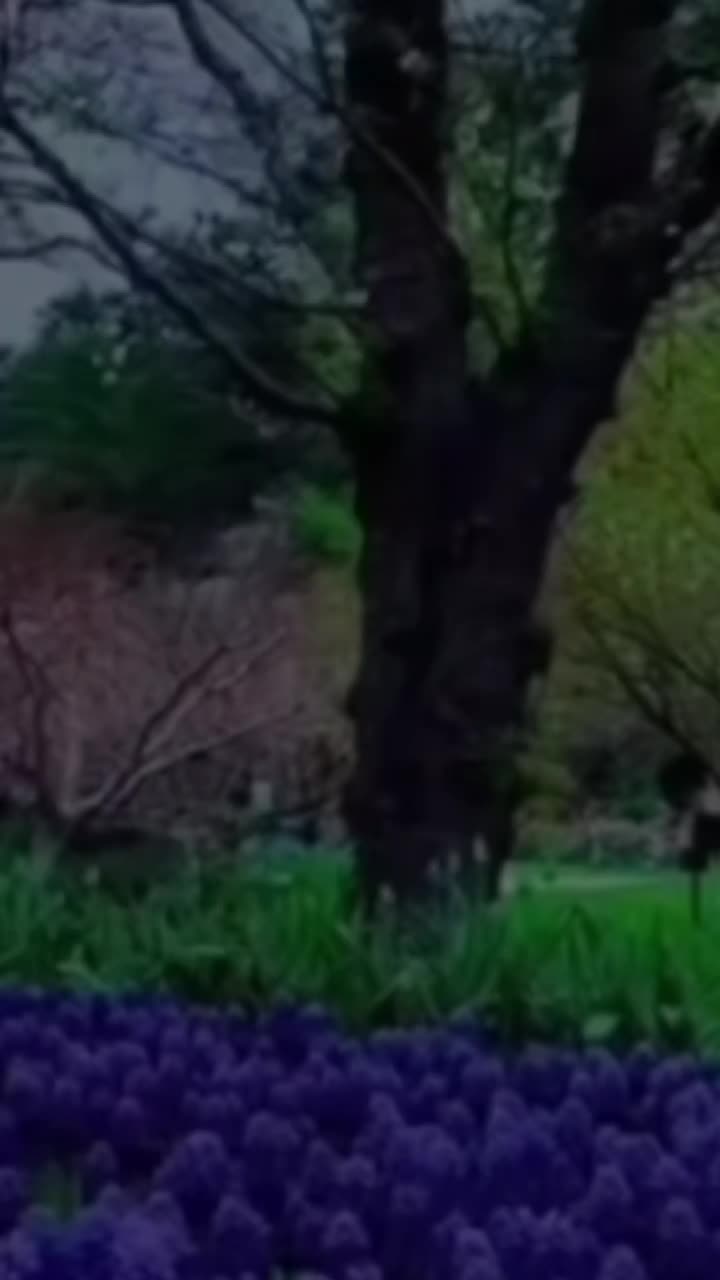 @salmahoura