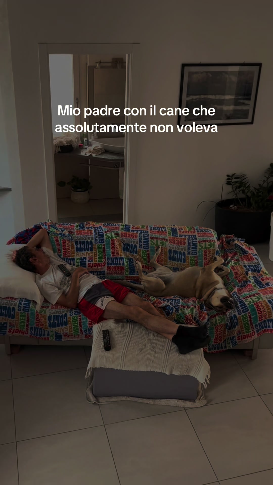 @_Sara_