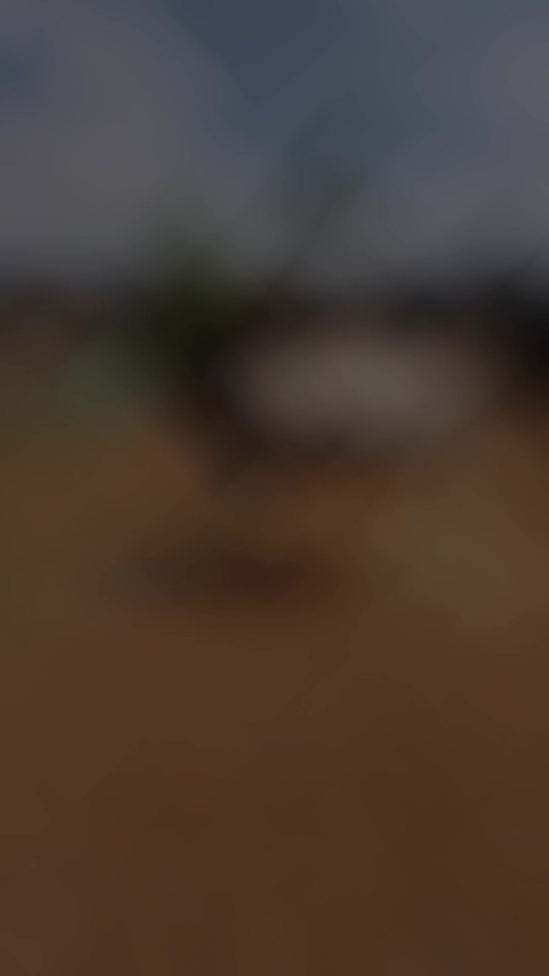 @Dennis Mukundi Wambui