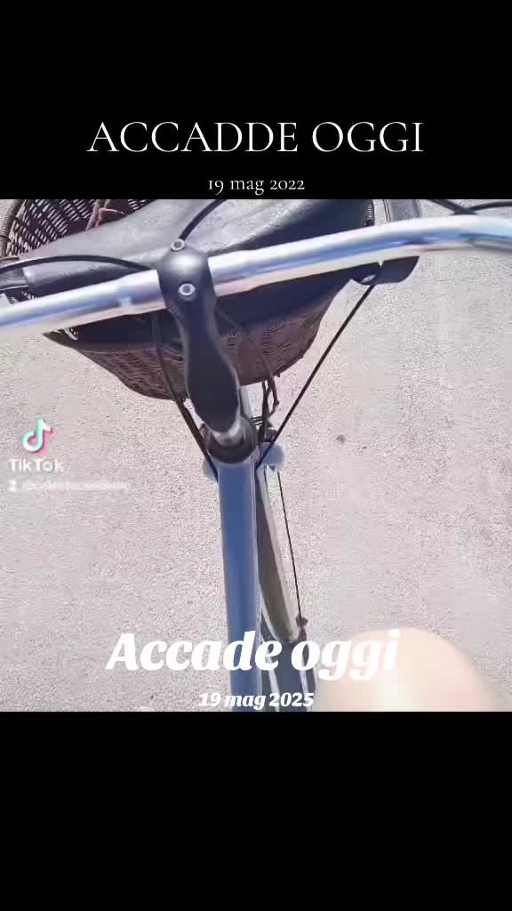 @Celeste Cendamo