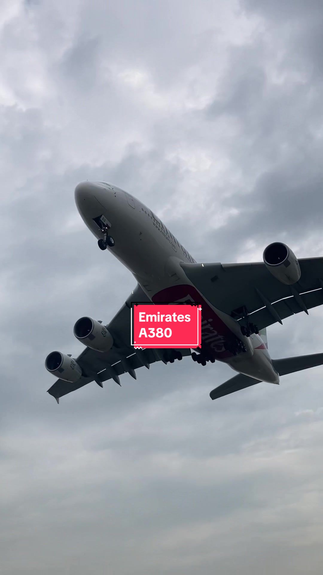@Plane Spotting YYB