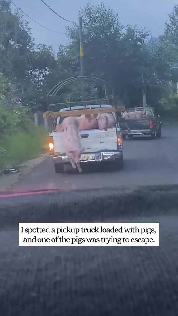 @GotnochoiceNews