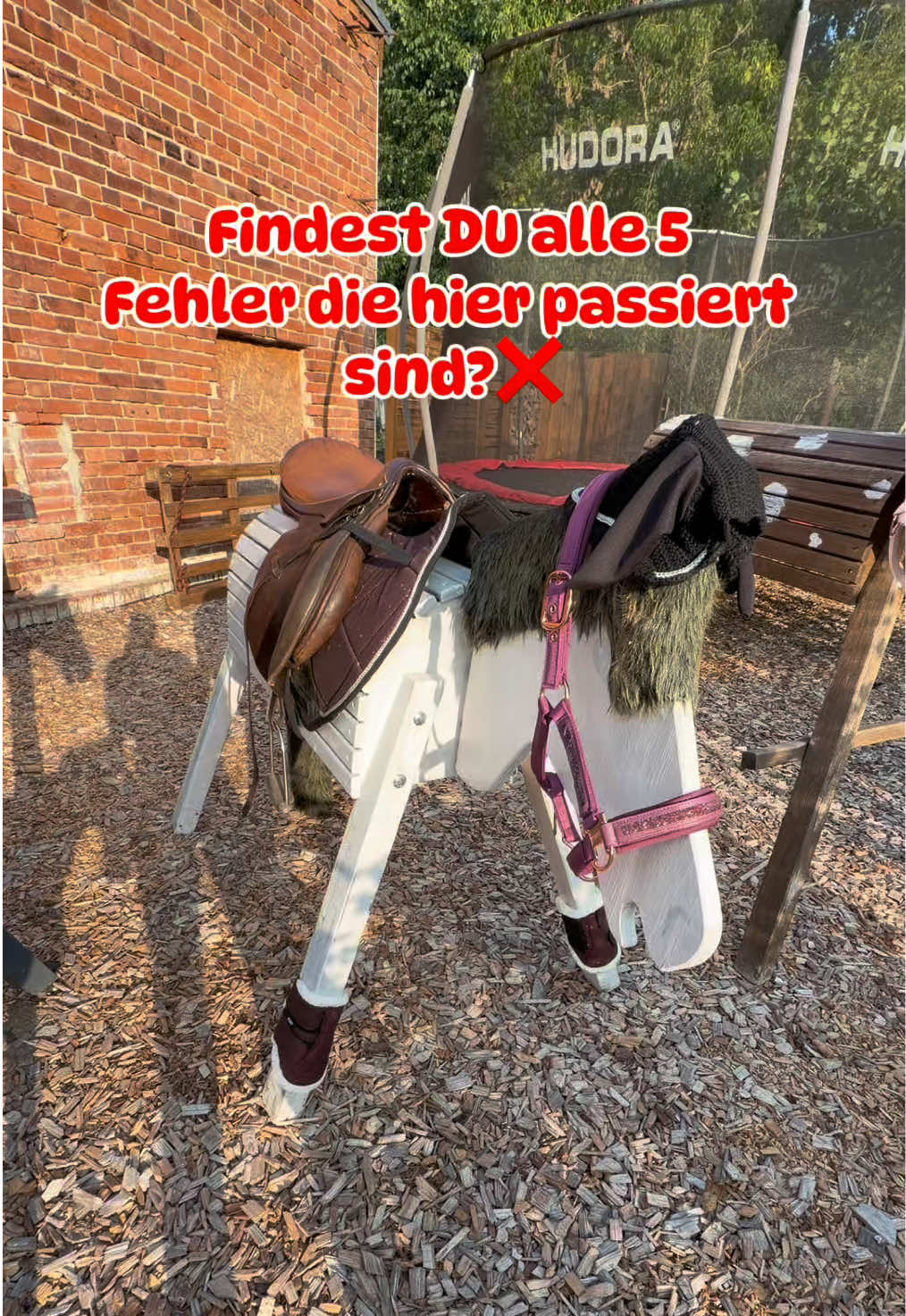 @kht_horselife