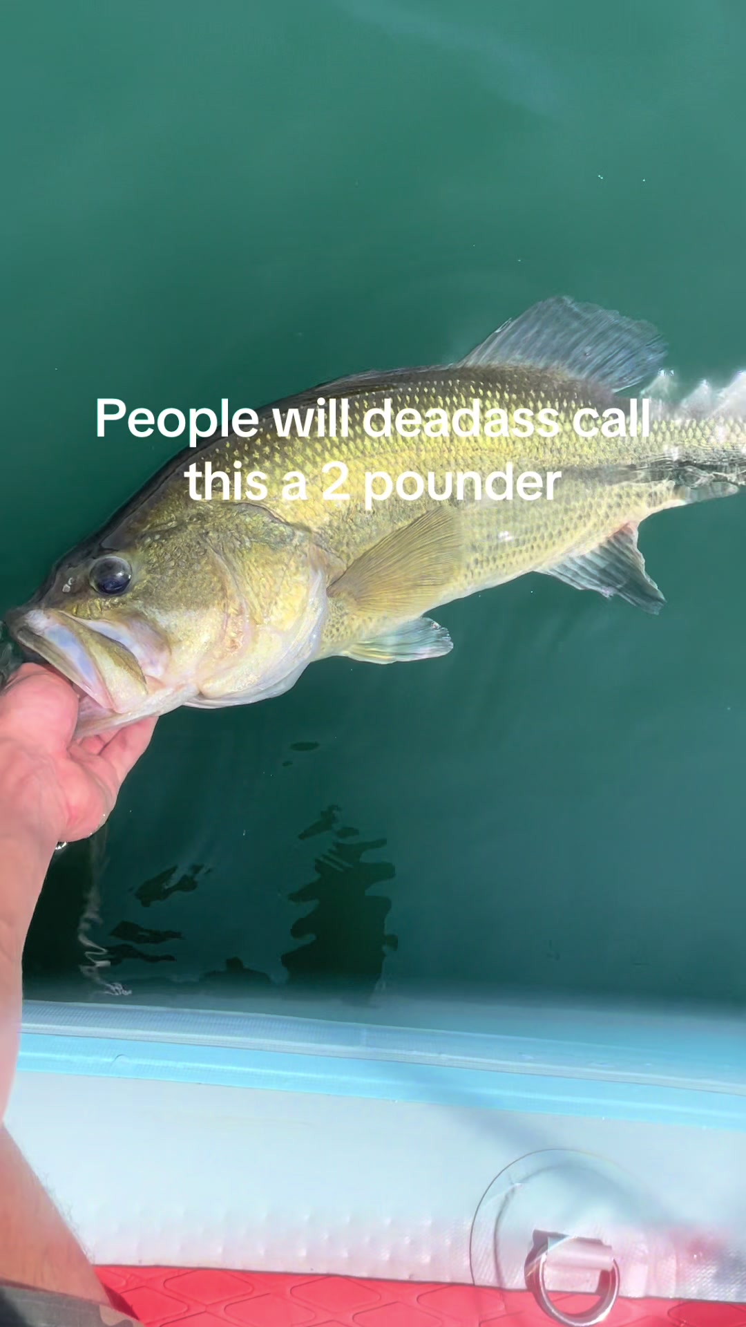 @sams.fishing_