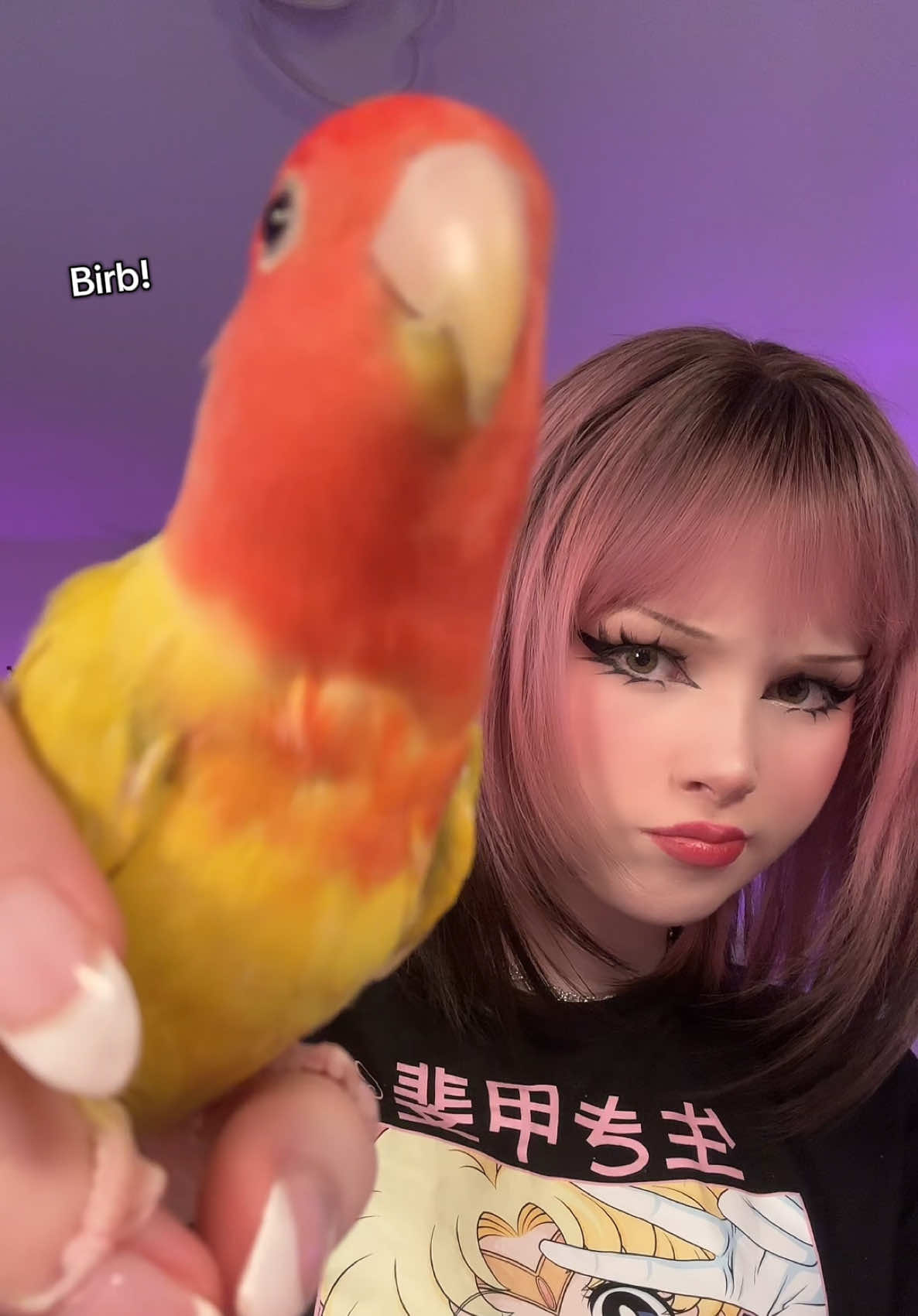 @⋆౨ৎ˚ Banni ⟡˖ ࣪