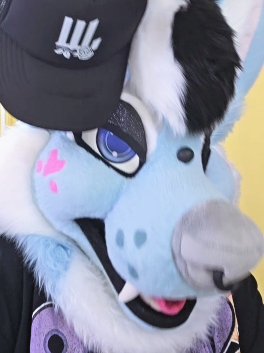 @✨️Skyla Vixen✨️