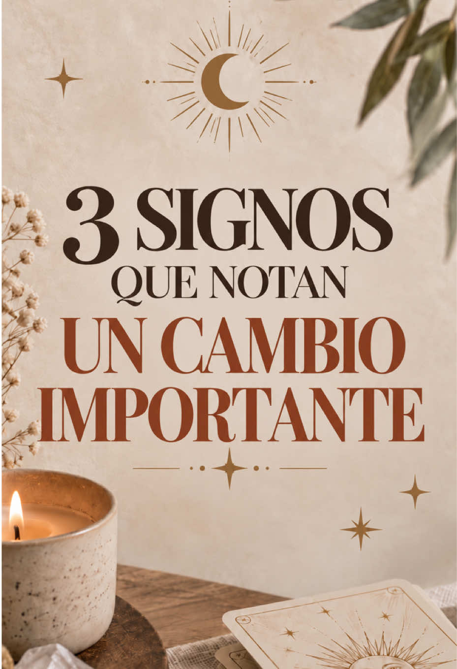 @Carolina Romero