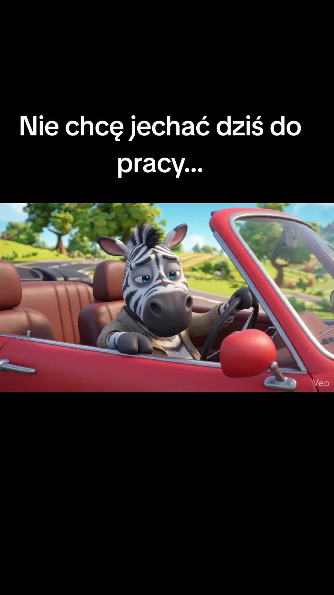 @Śladami Zebry