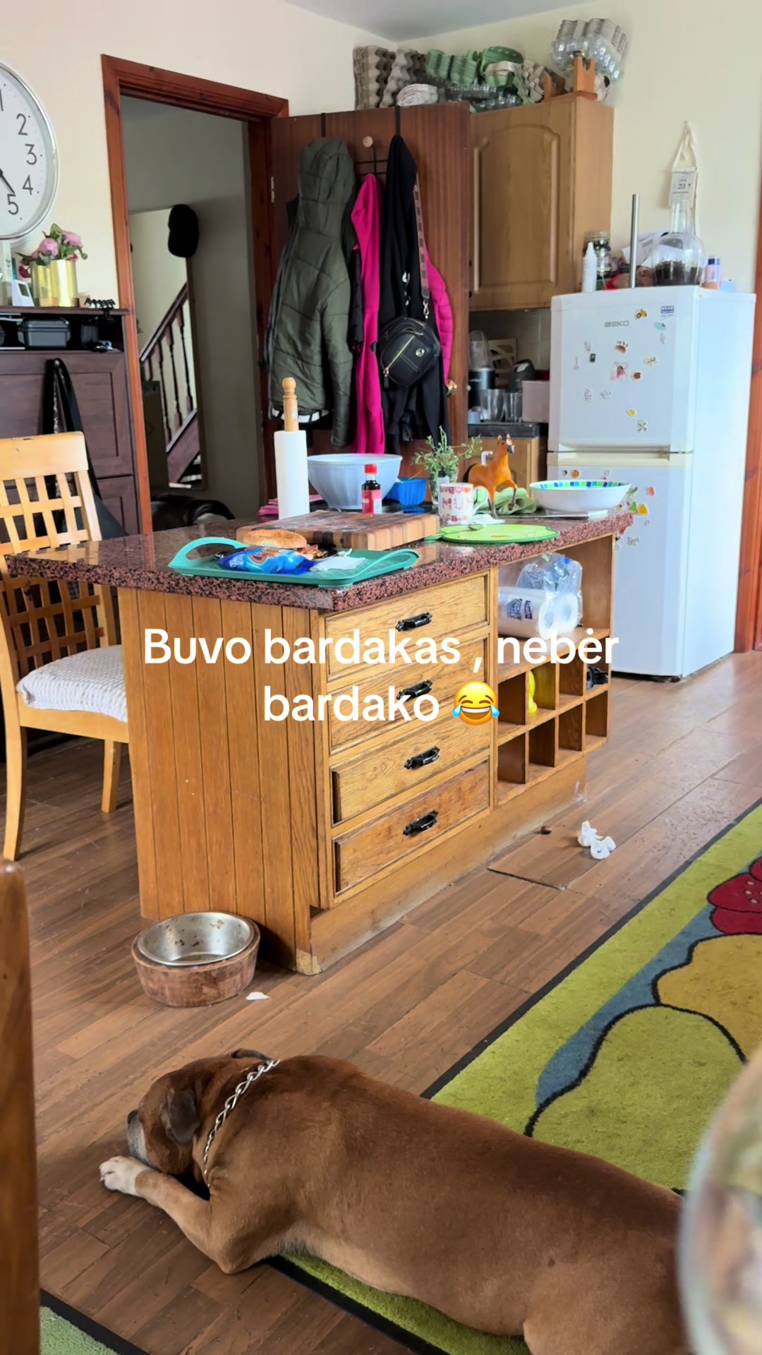 @🇱🇹 Dovilė 🇮🇪