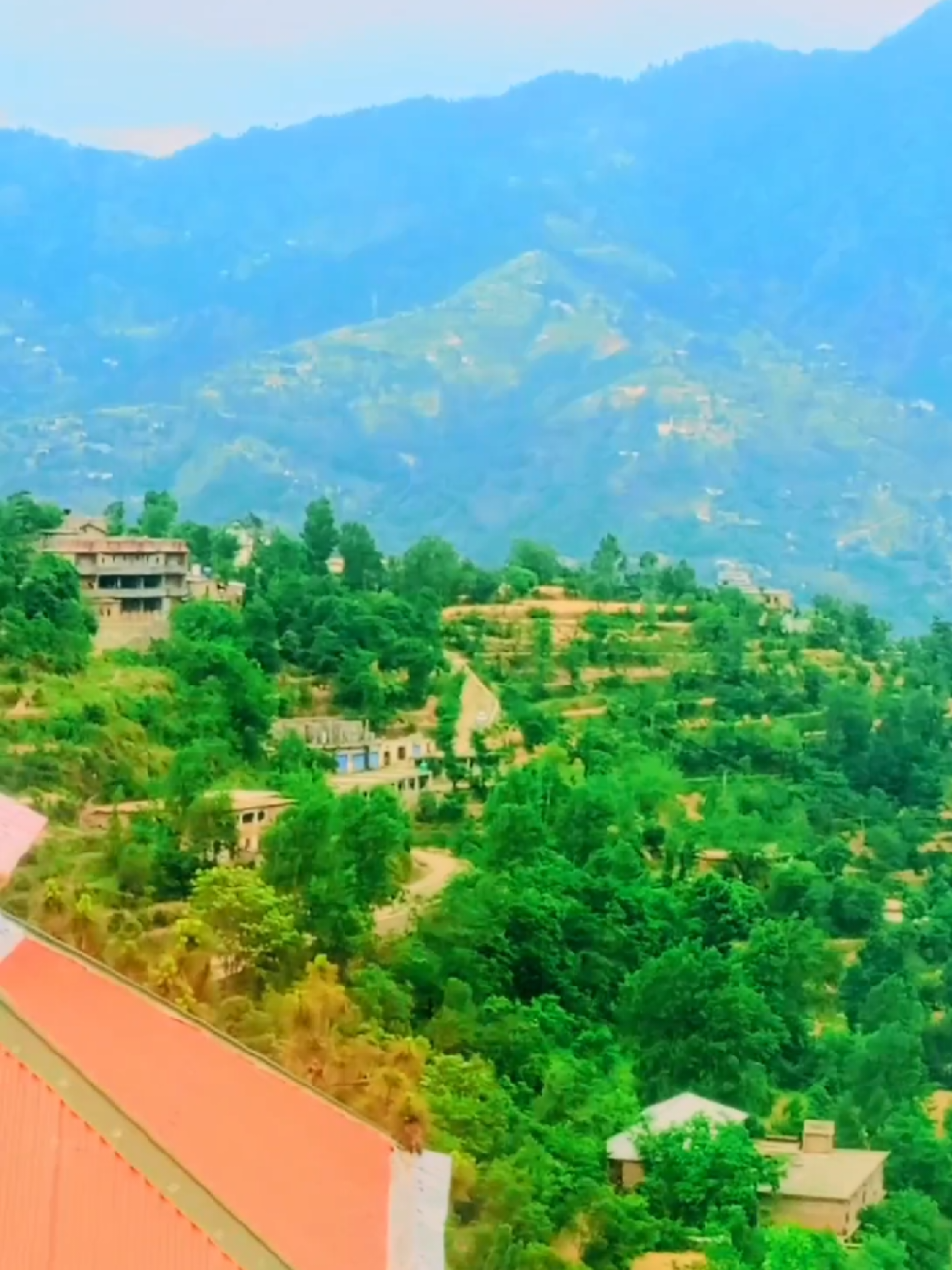 @🌲غر سنے 🌲