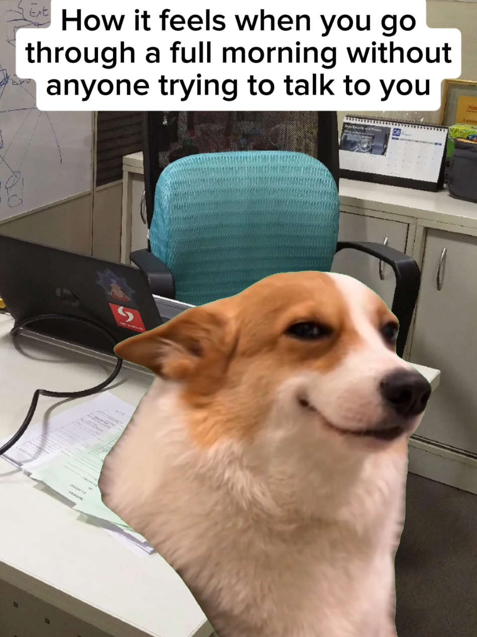 @Office Bubble