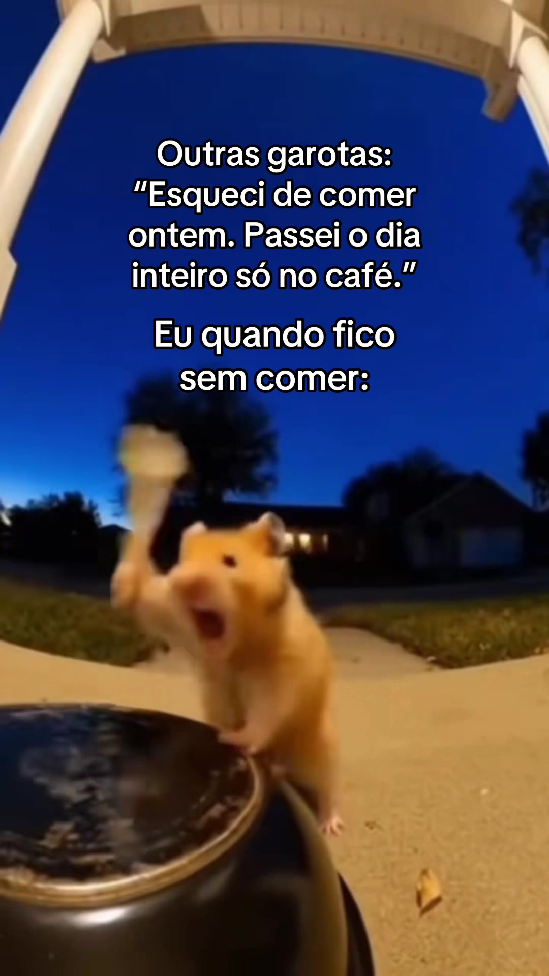 @tababadeira
