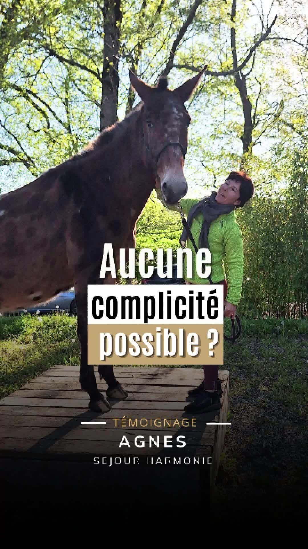 @Alegria Relation de Complicit&eacute;