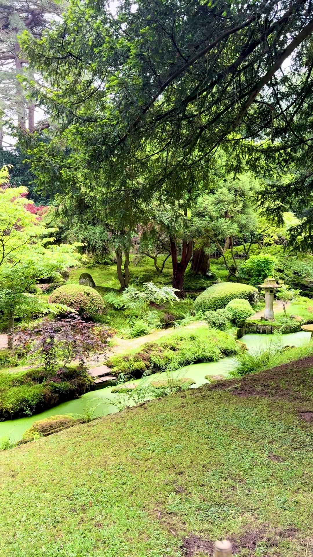 @Amazing nature and city vibes