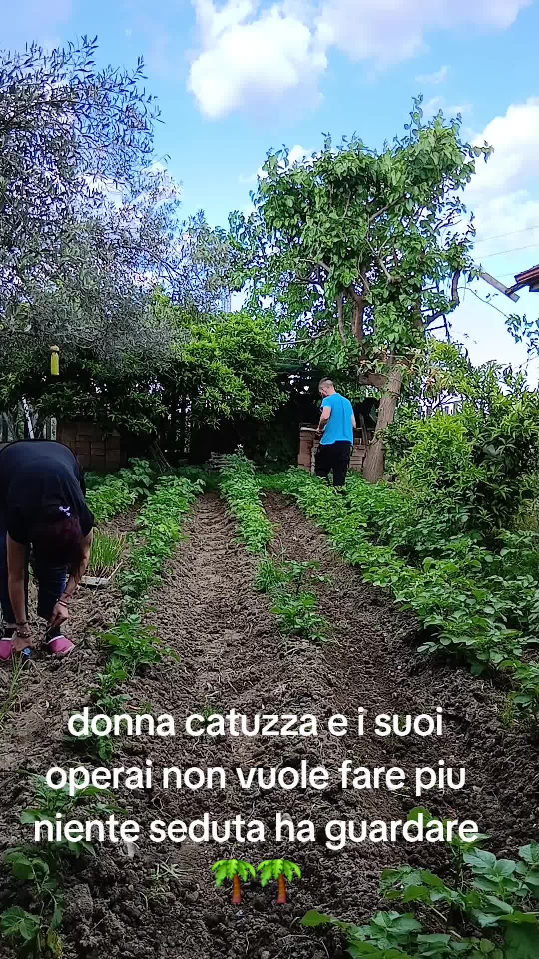 @Nicola Pasqualino( sanzuni)