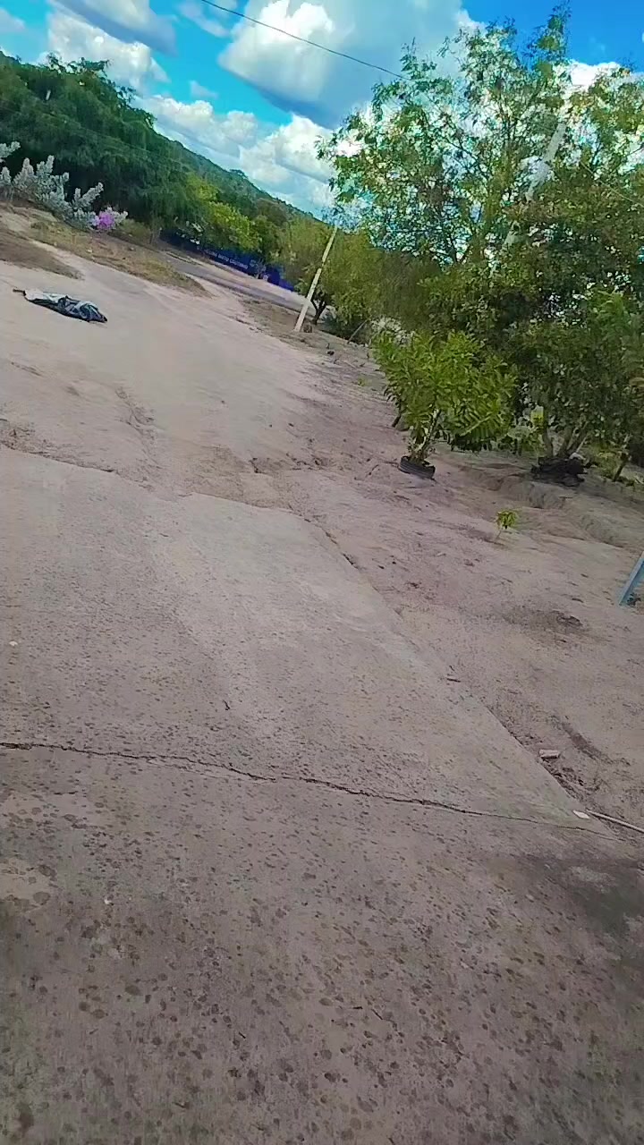 @Rosa De Sá