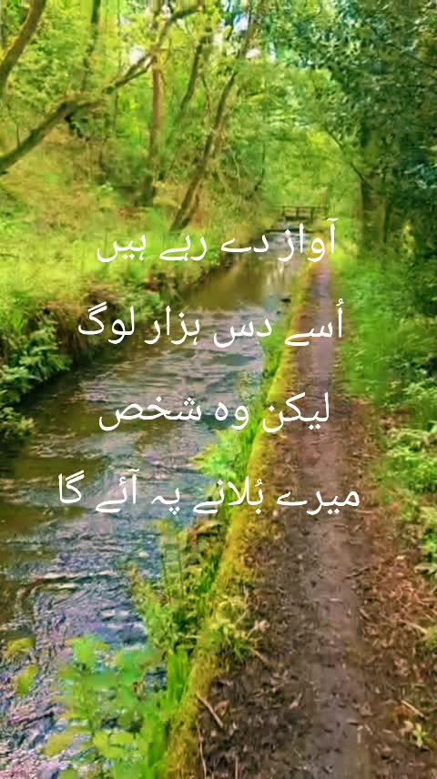 @BUSHRA KHAN