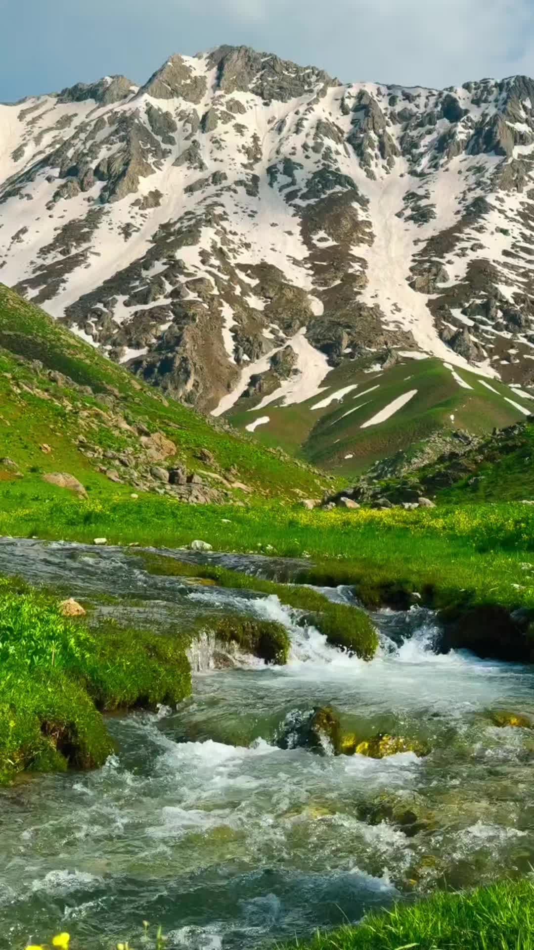 @Yanlız adamAlmanya