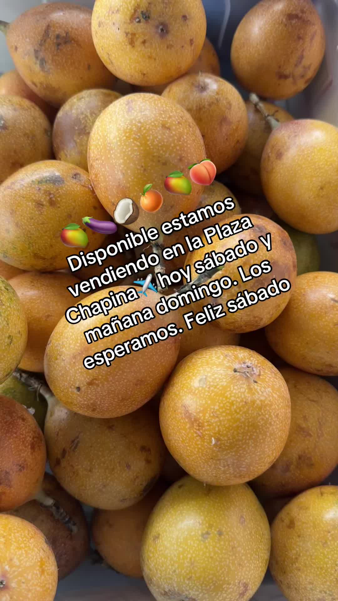 @Marta Raymundo👩🍳🇬🇹🥀🌺🌻