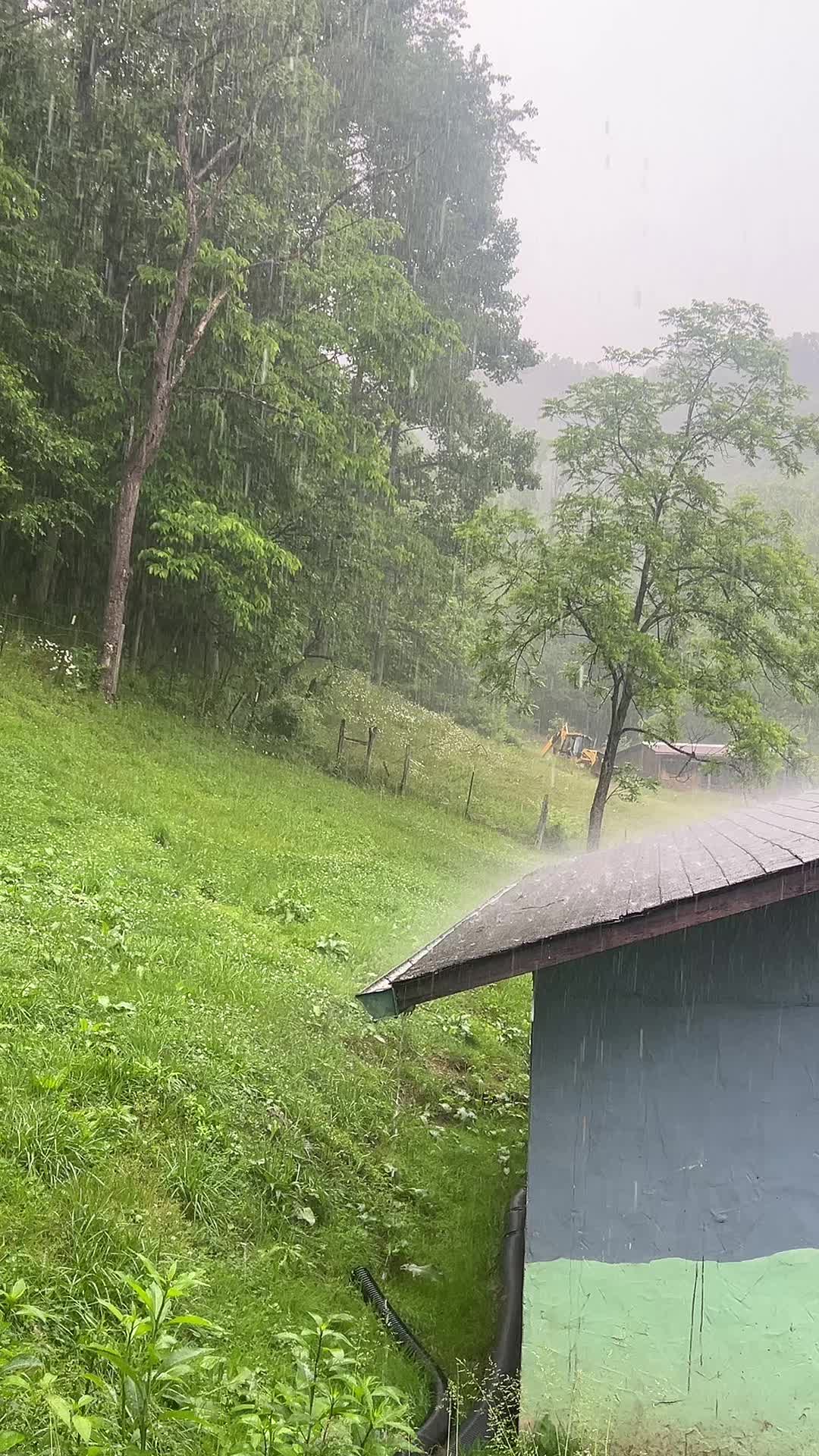 @wildflowers421