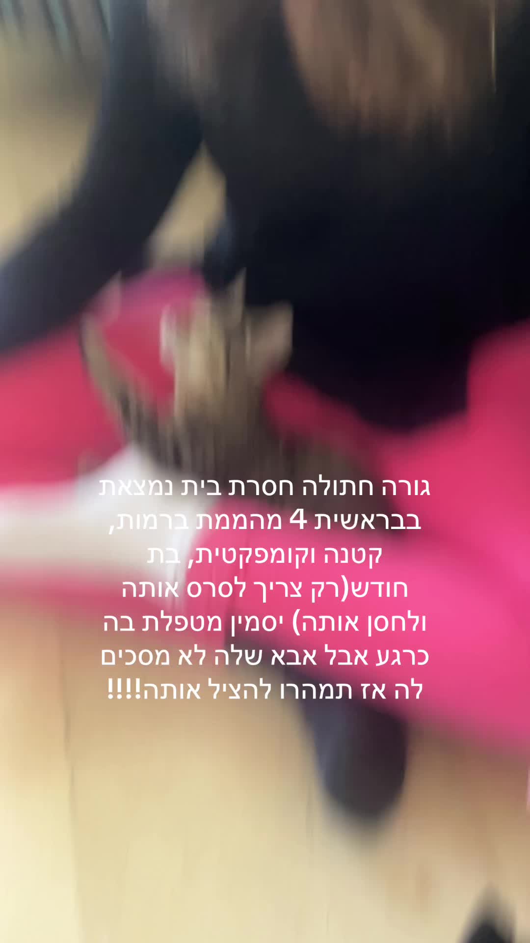 @nogabarel3