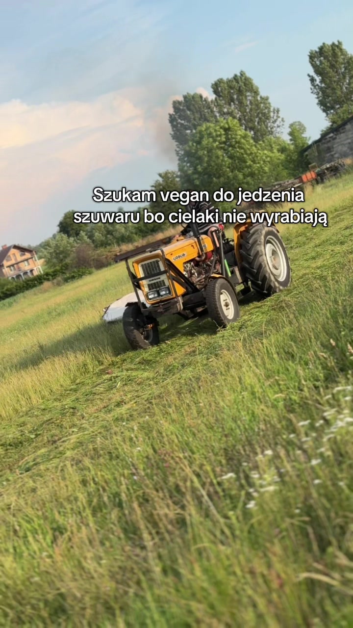 @Krzysiuu ツ