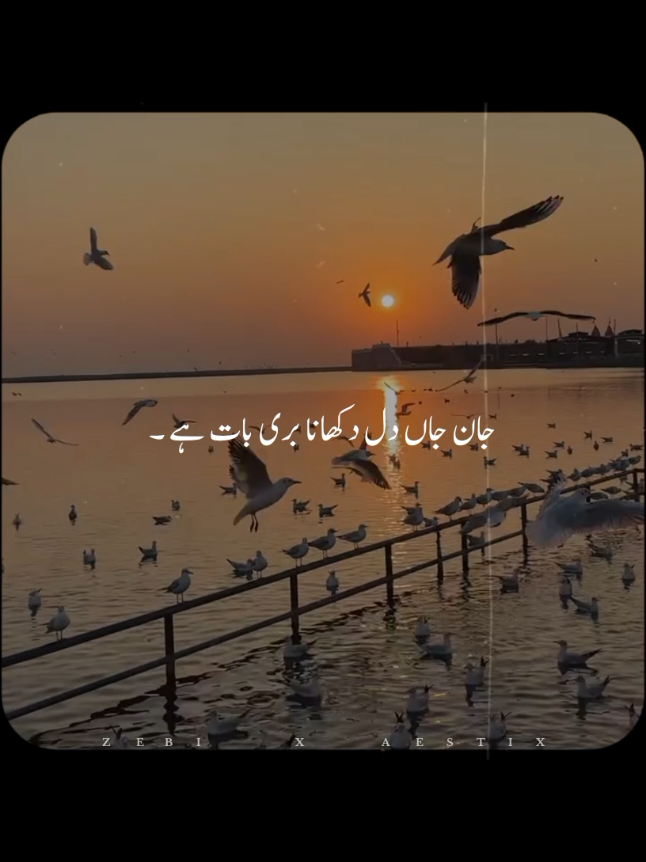 @𝙕𝙀𝘽𝙄 𝙓 𝘼𝙀𝙎𝙏𝙄𝙓