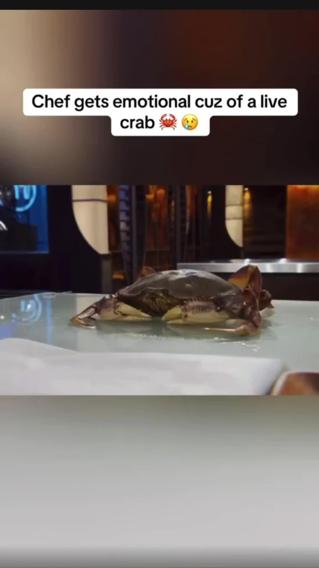 @Chef clips