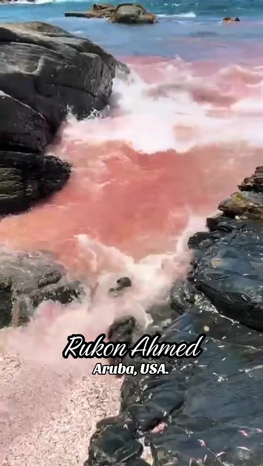 @Rukon ahmed