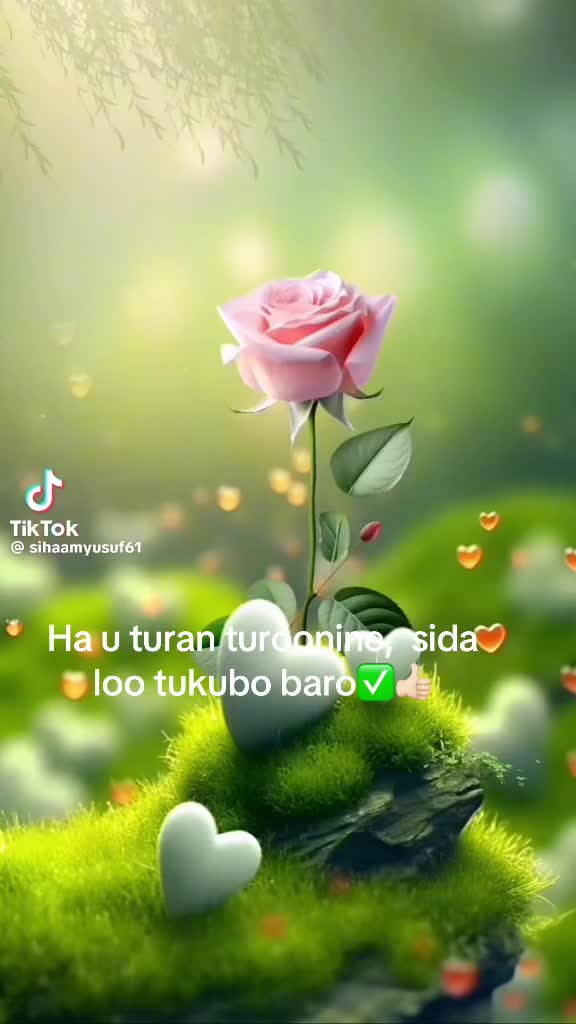 @samawadoshow