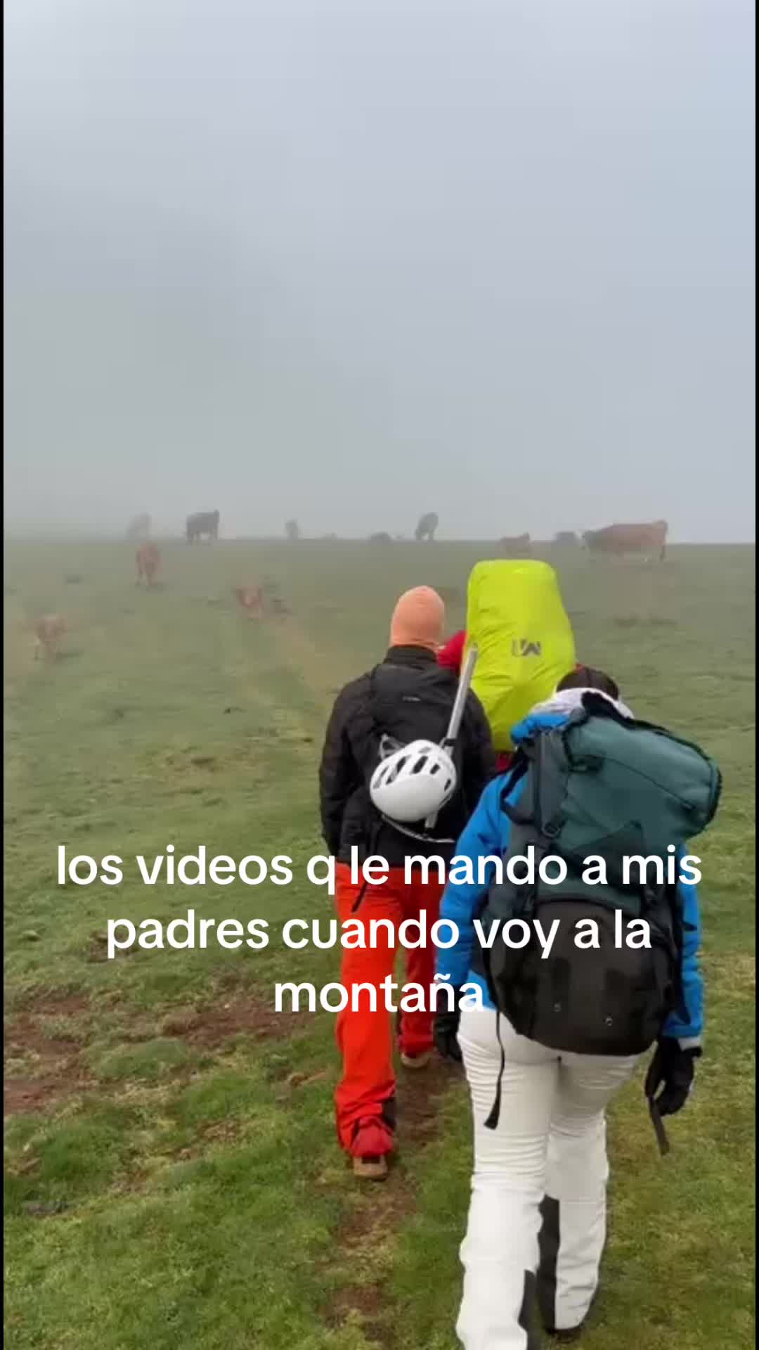 @paula🐆