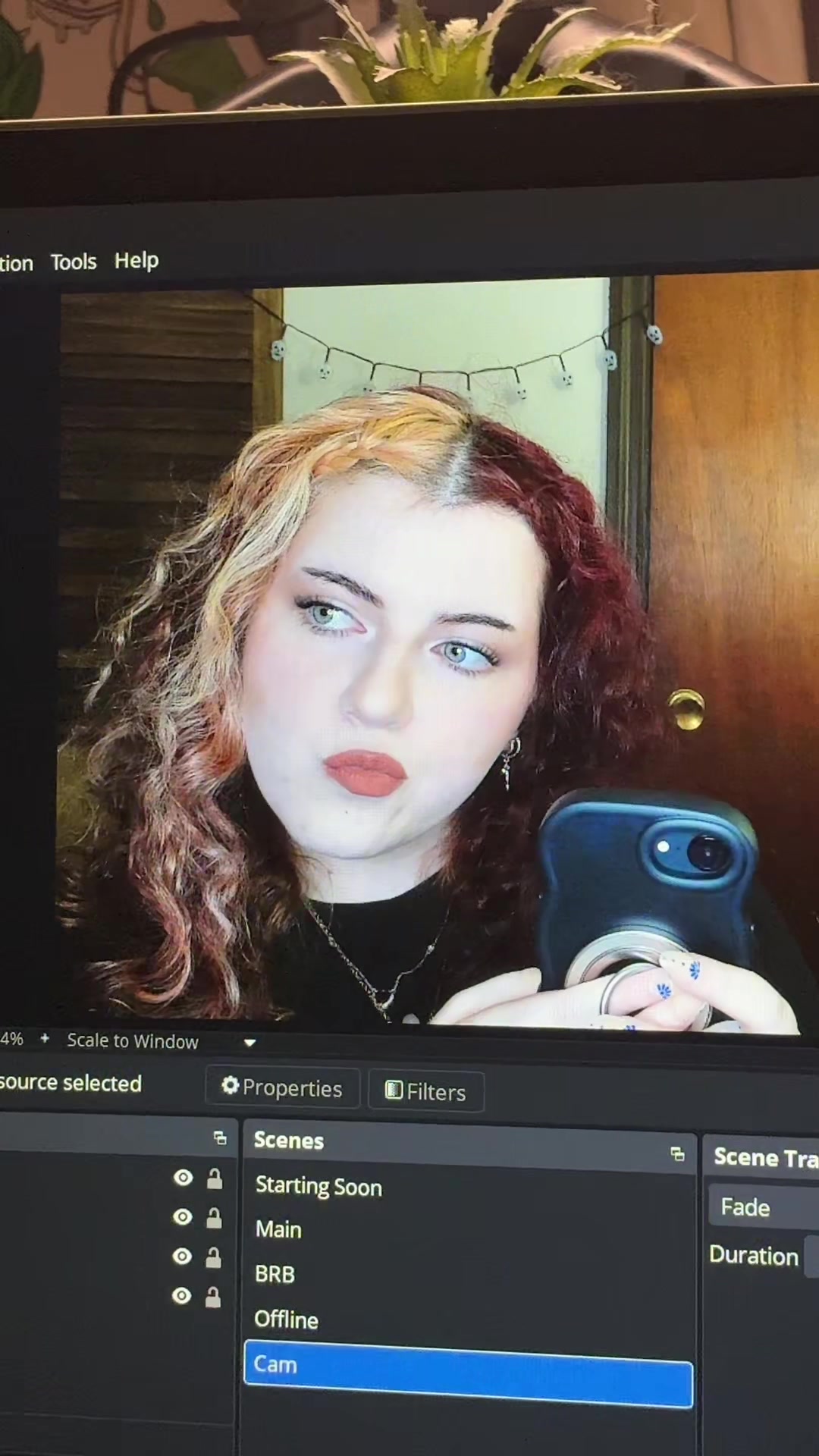 @tonischwartz