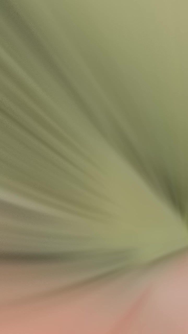 @🌺 𝕔𝕦𝕥𝕖 𝕡𝕖𝕤𝕙𝕠🐱🫀
