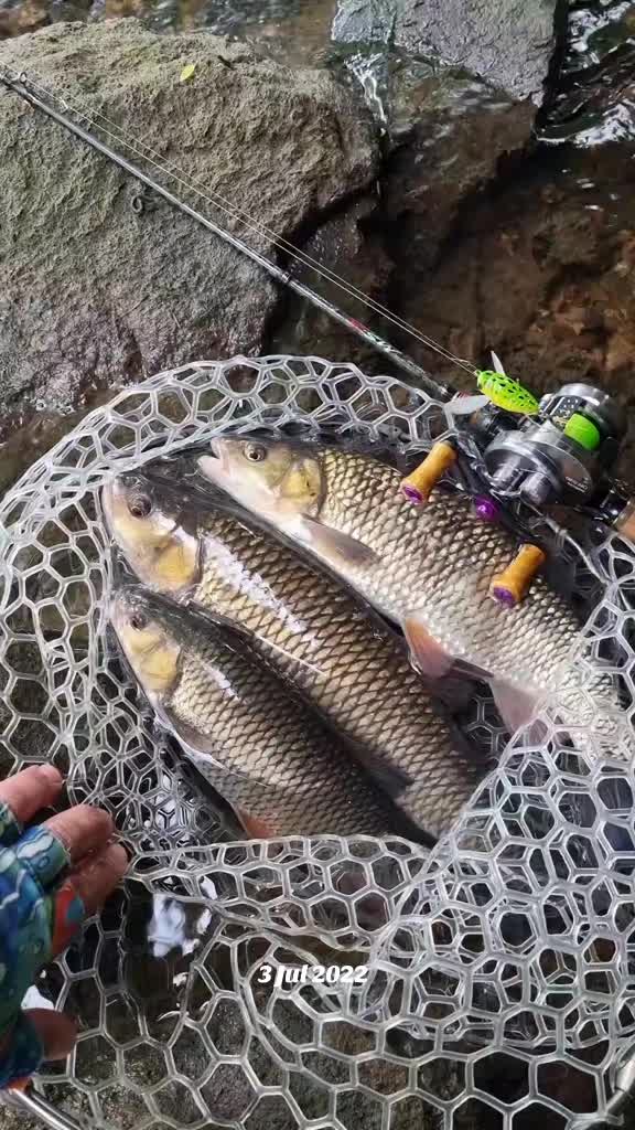 @BF Angler