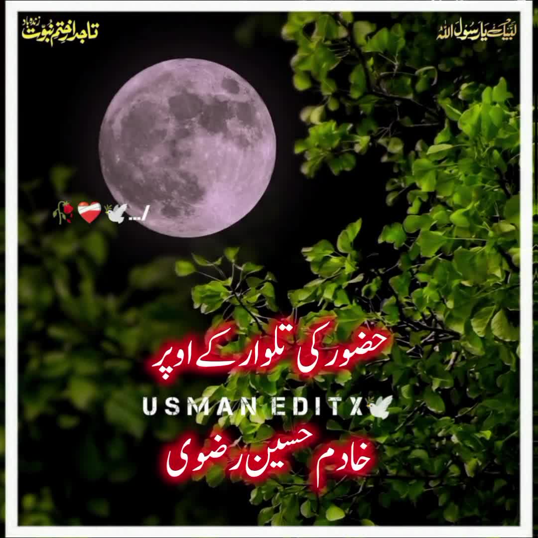 @سلطنت رضویہ 😍😍
