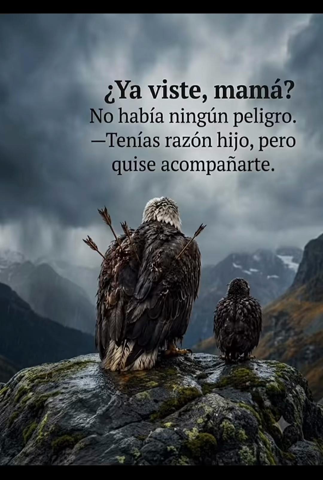 @Cristina Garcia Sanc