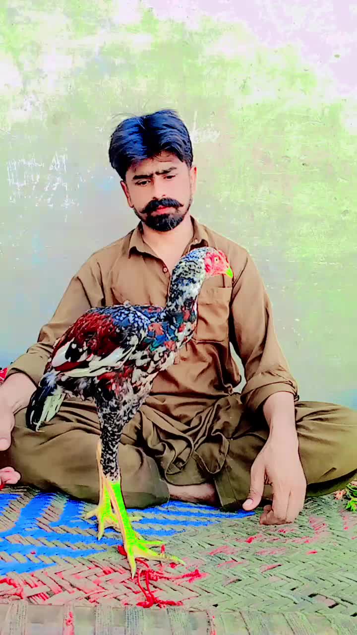@Badshah Sahu