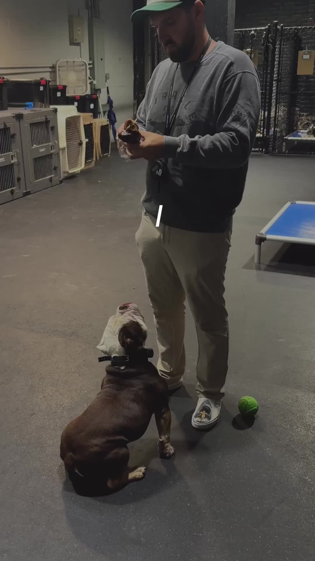 @Miracle K9 Training