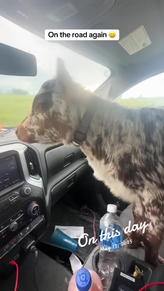 @TennesseeTedMiniFarm
