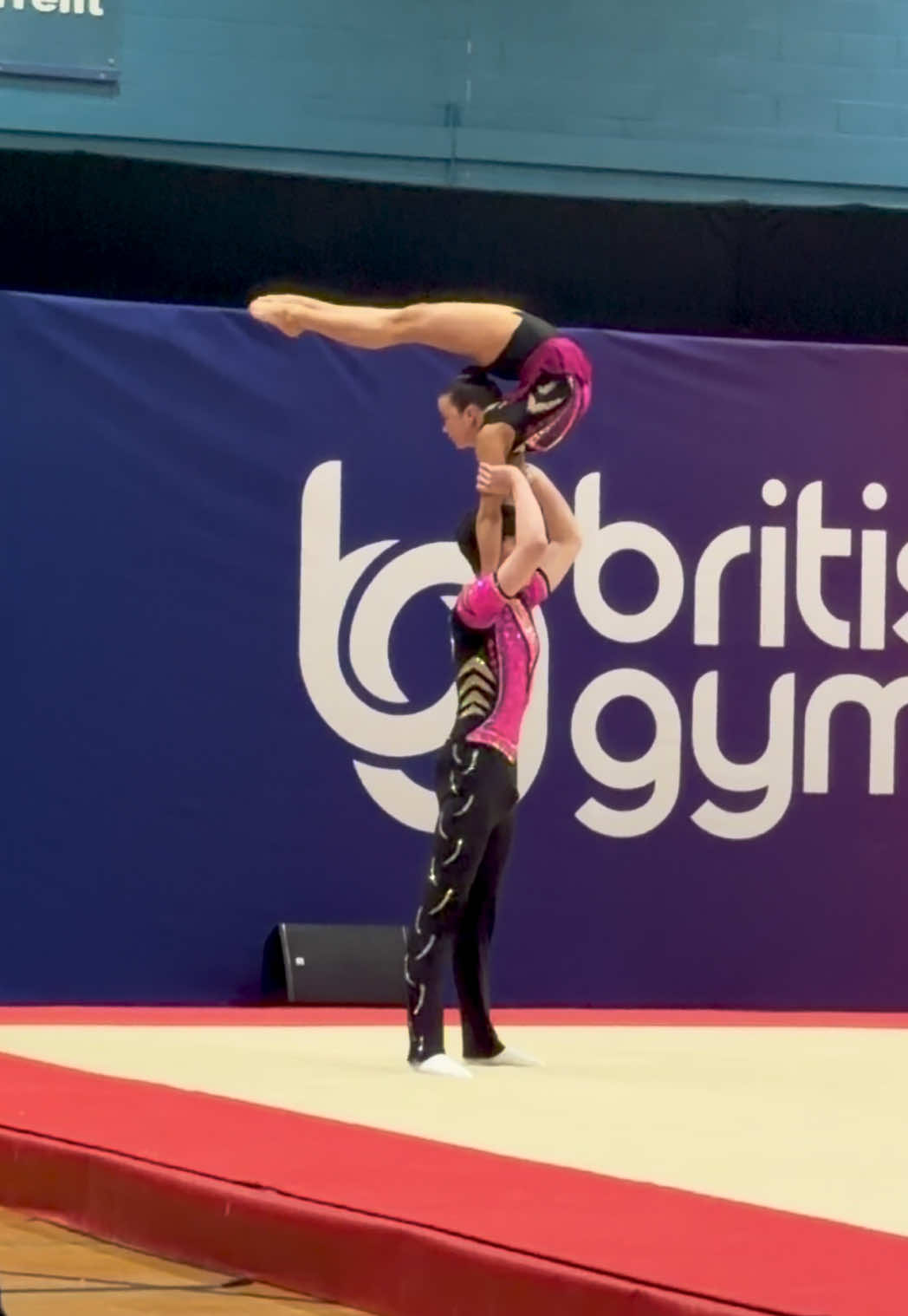@acrogym.tv