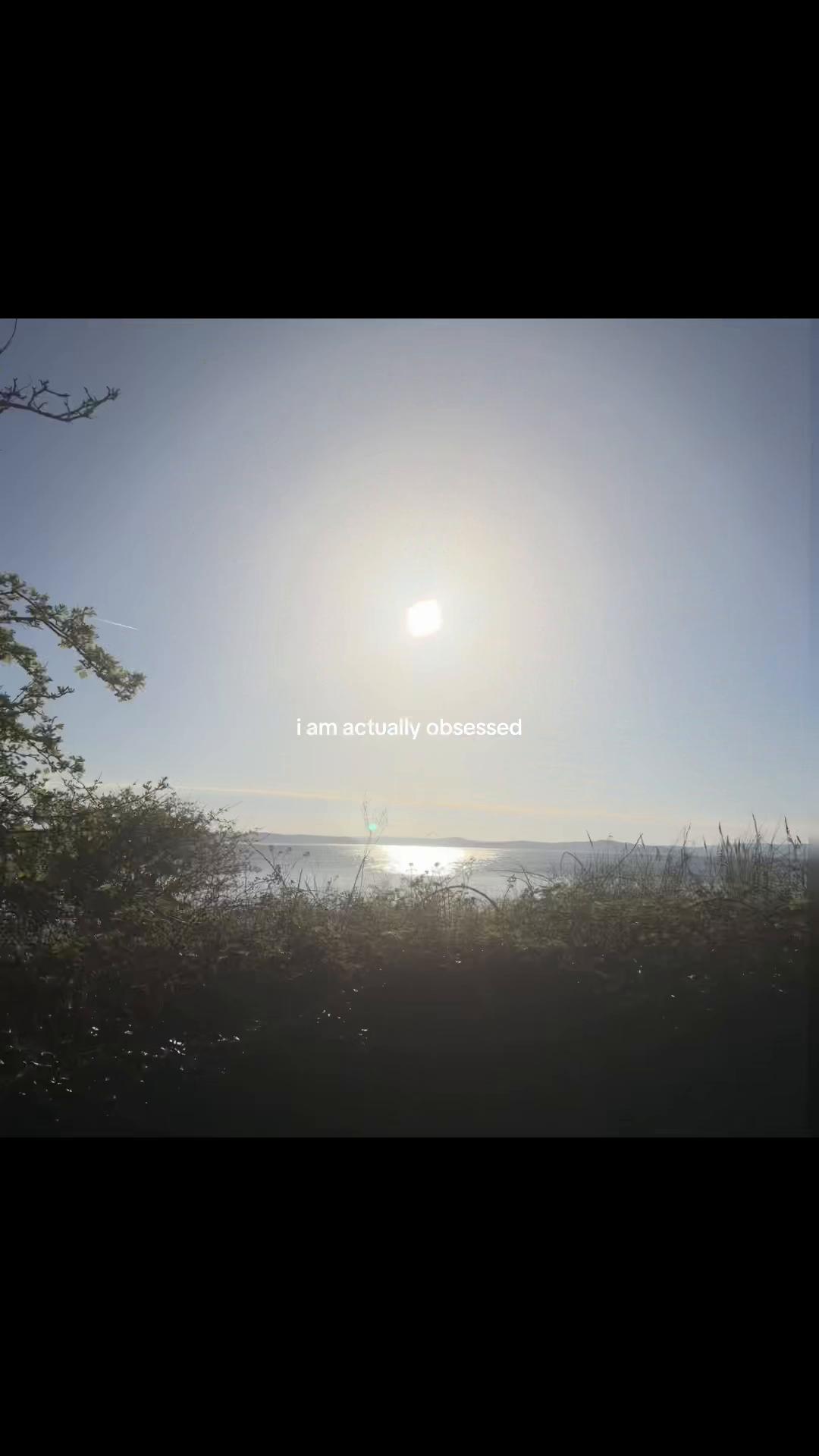 @rachelcampbell🕊️