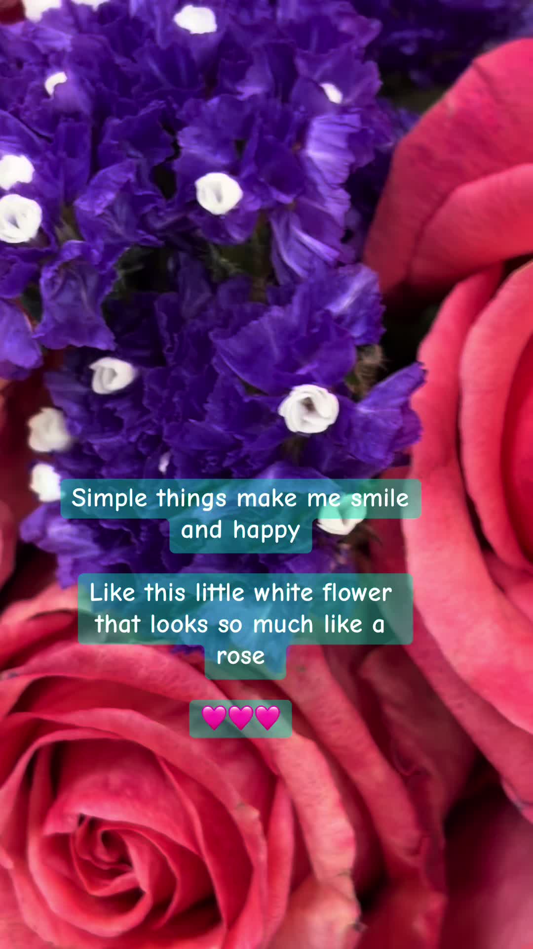 @godsdaughter_81