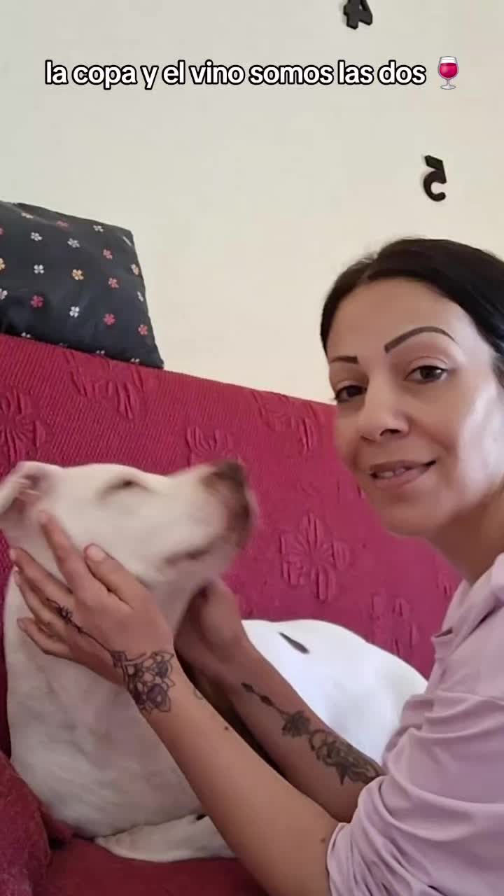 @🐶Yᑌᗰᗩ&ᑕO.🐾