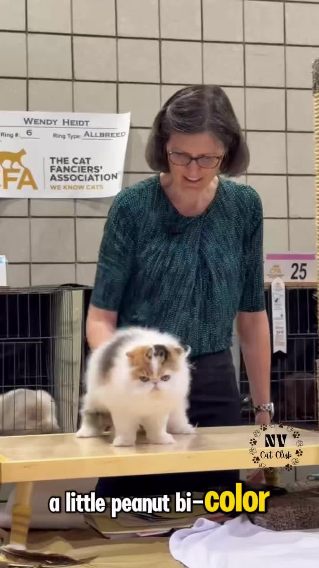 @NewVisionCatClub