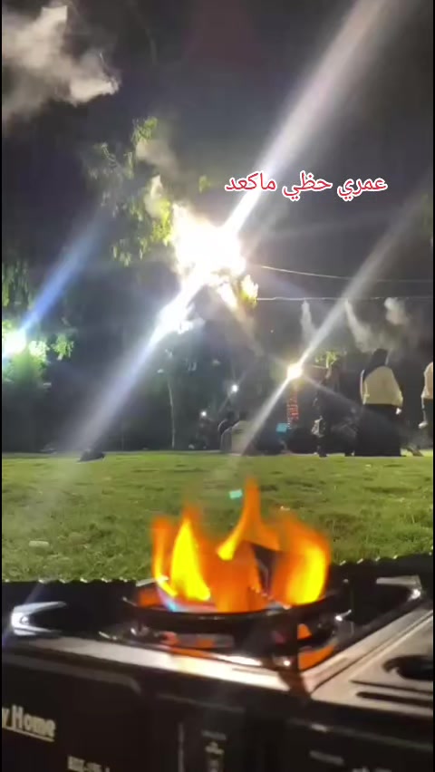 @⋆.˚✮ ريحانة الربيع✮˚.⋆