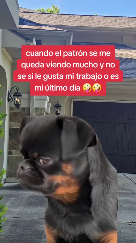 @R&aacute;pido💫&🌻Furioso🧝&zwj;♀️