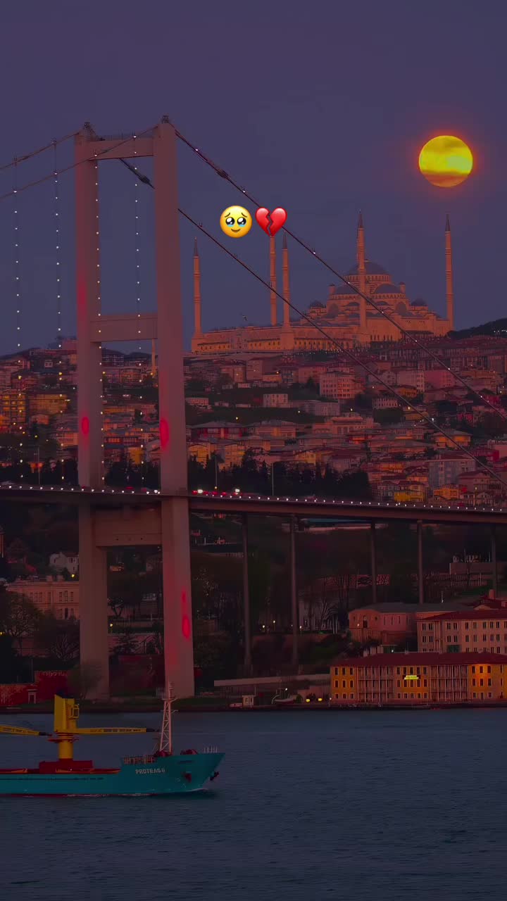 @Setayesh🦋🩵