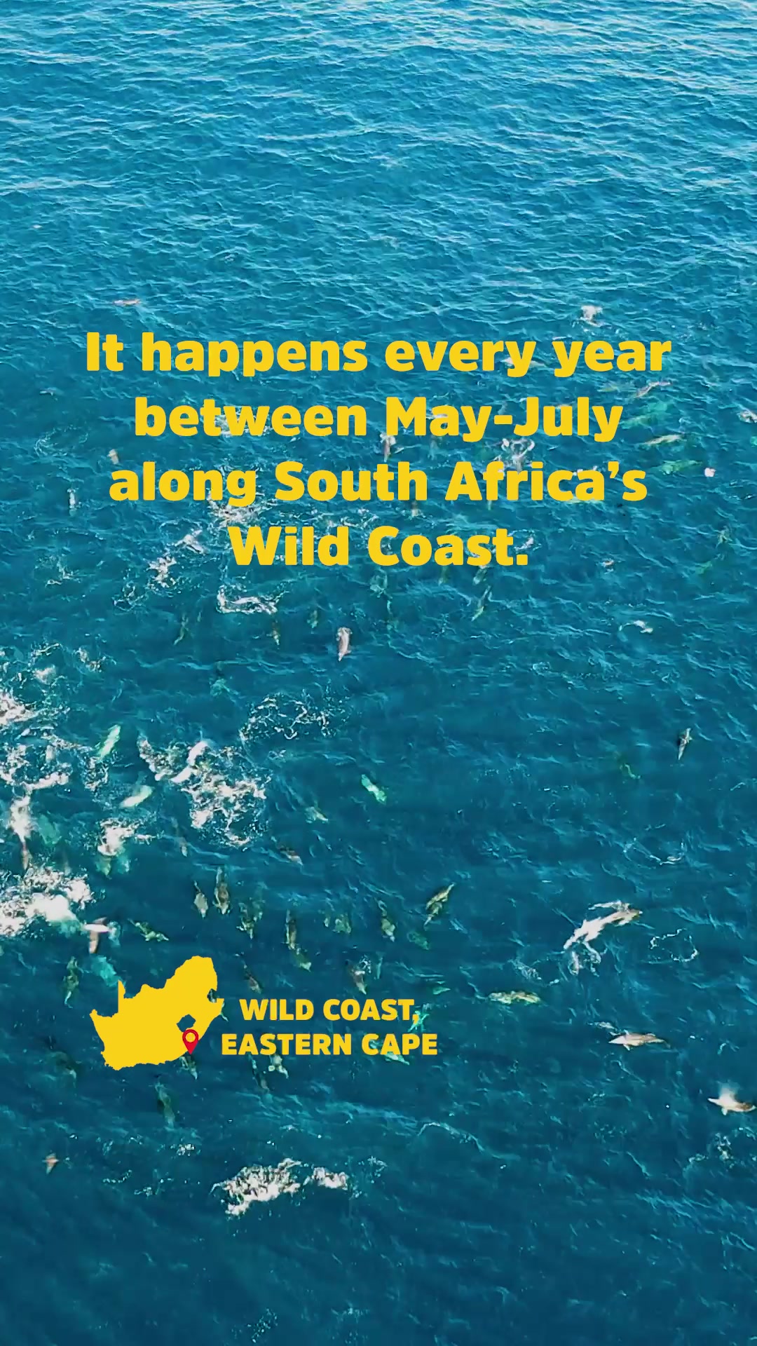 @South Africa UK