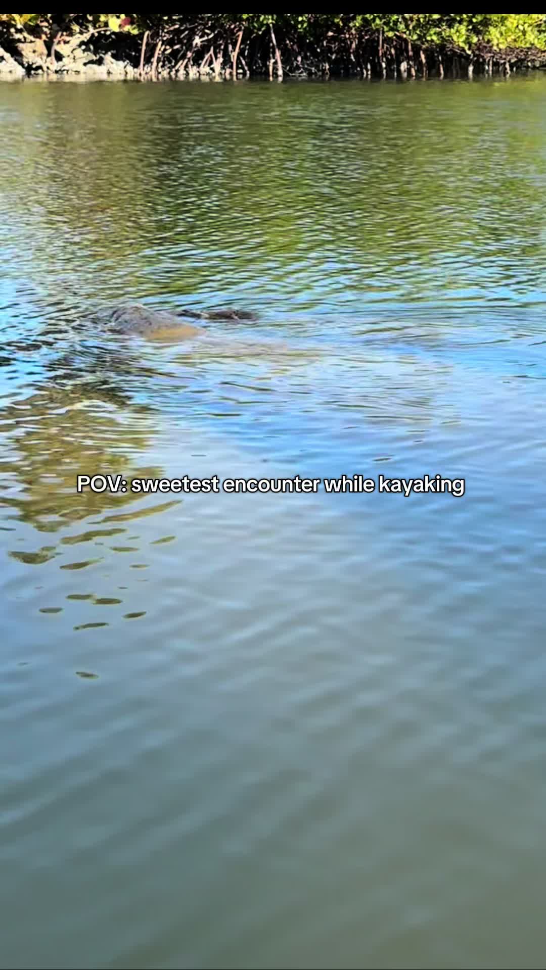 @alwaysnein